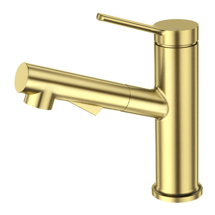 Robinet de Lavabo avec Douchette Extractible Doré Brossé — HUDOR