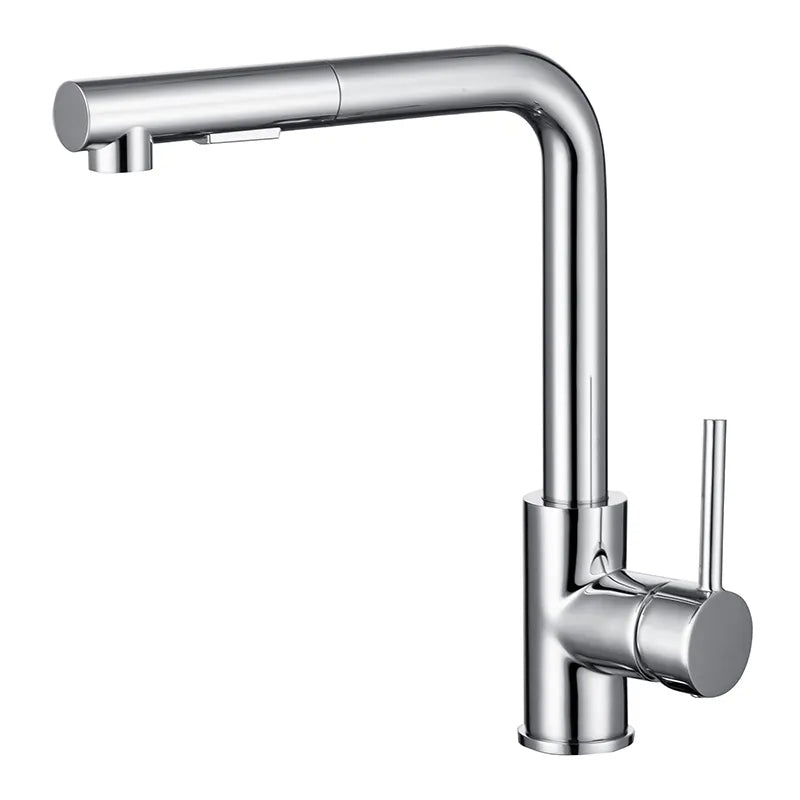 Kitchen faucet 2101 chrome collection Erymanthe removable head